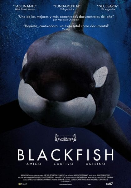 Blackfish documentario naturalistico orche 