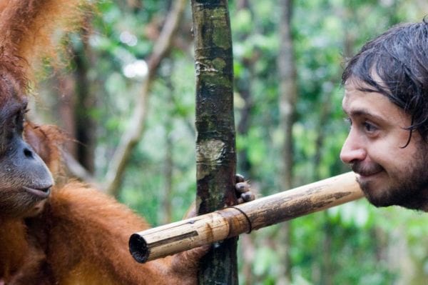 viaggio in indonesia