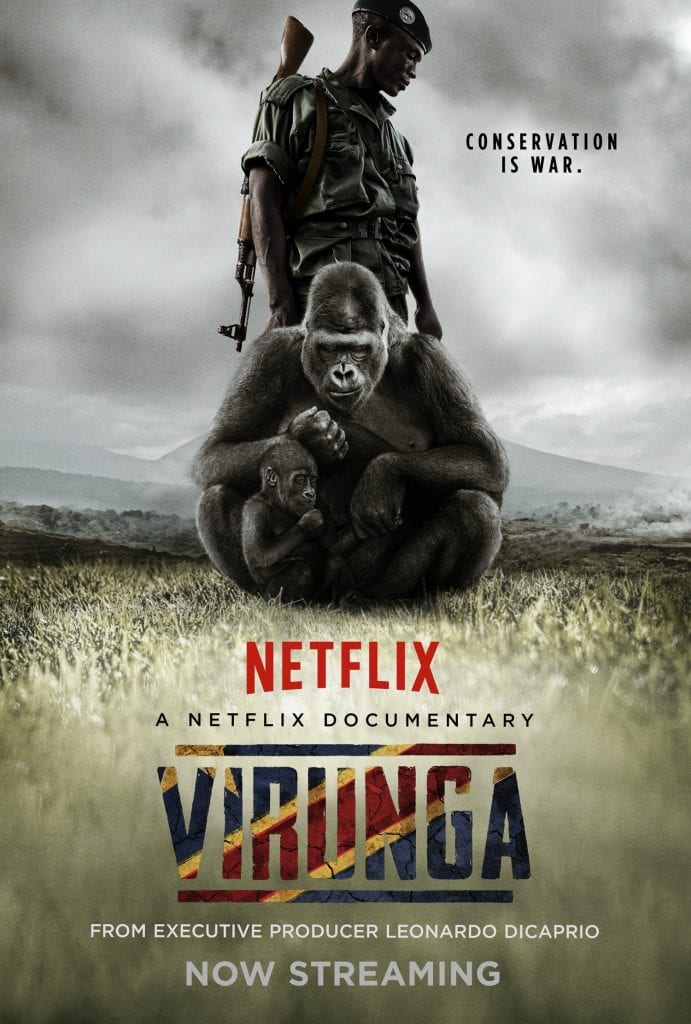 virunga documentario gorilla di montagna