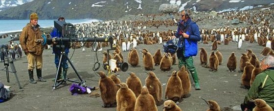 finanziare un documentario naturalistico