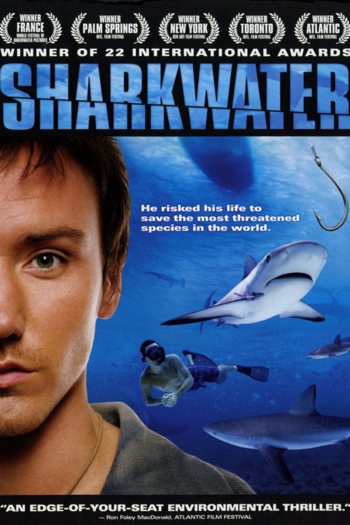 sharkwater migliori documentari natura