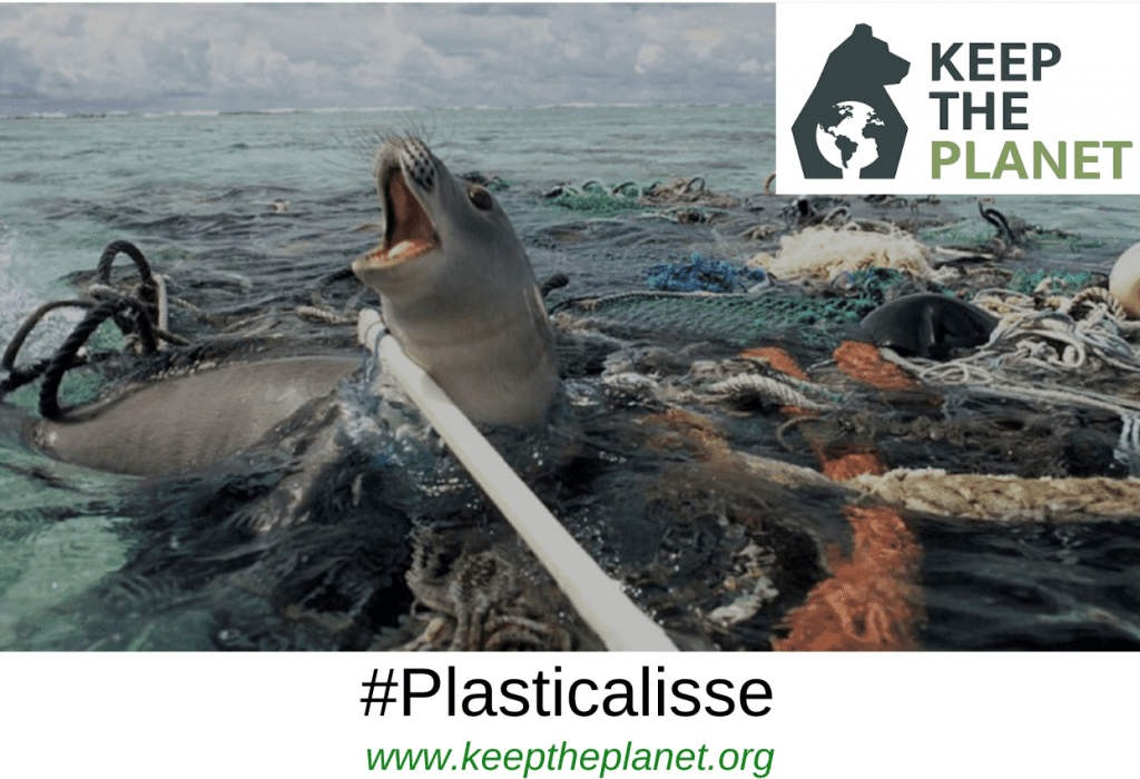 eliminare la plastica